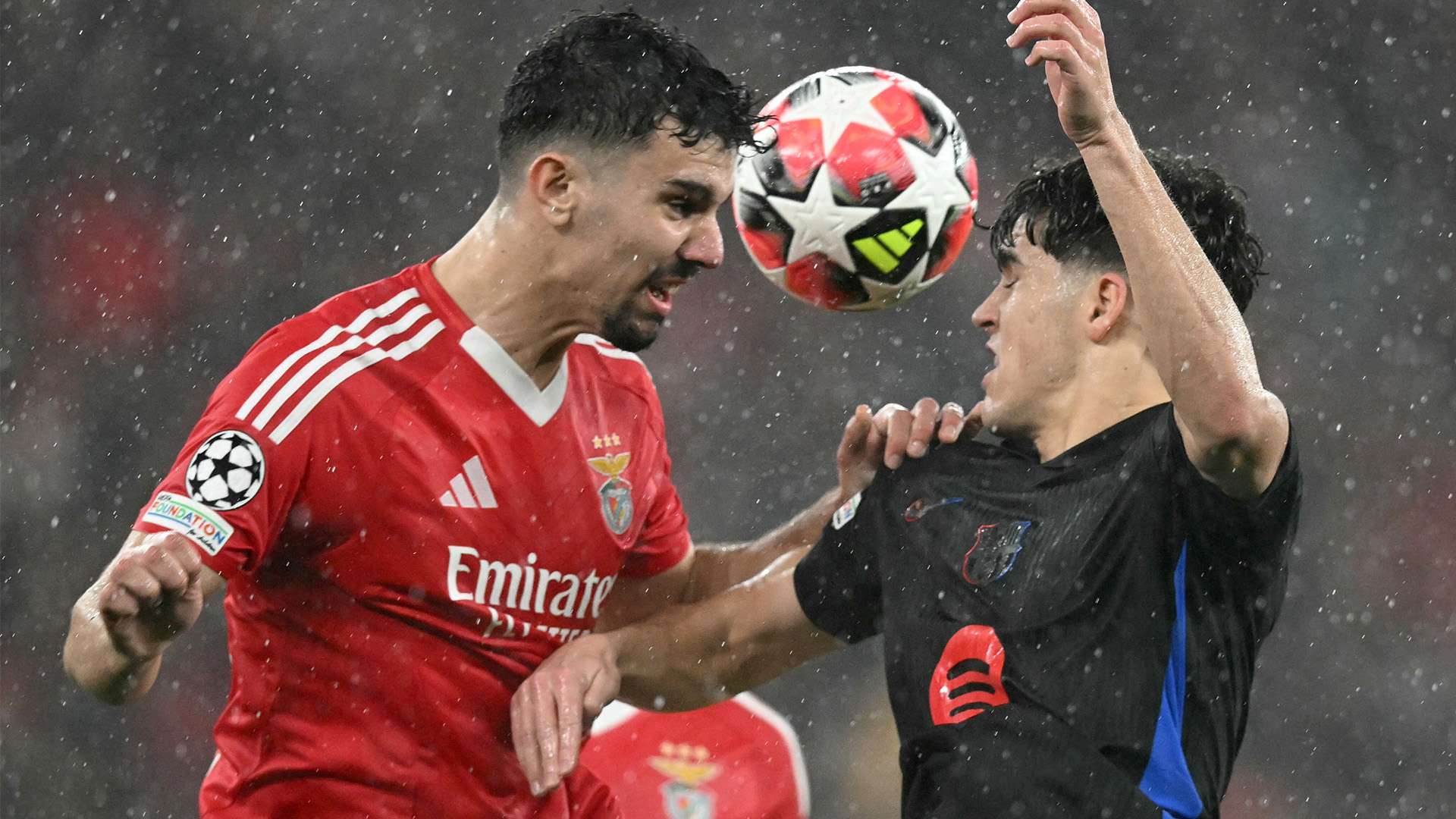 从数据层面 从数据层面