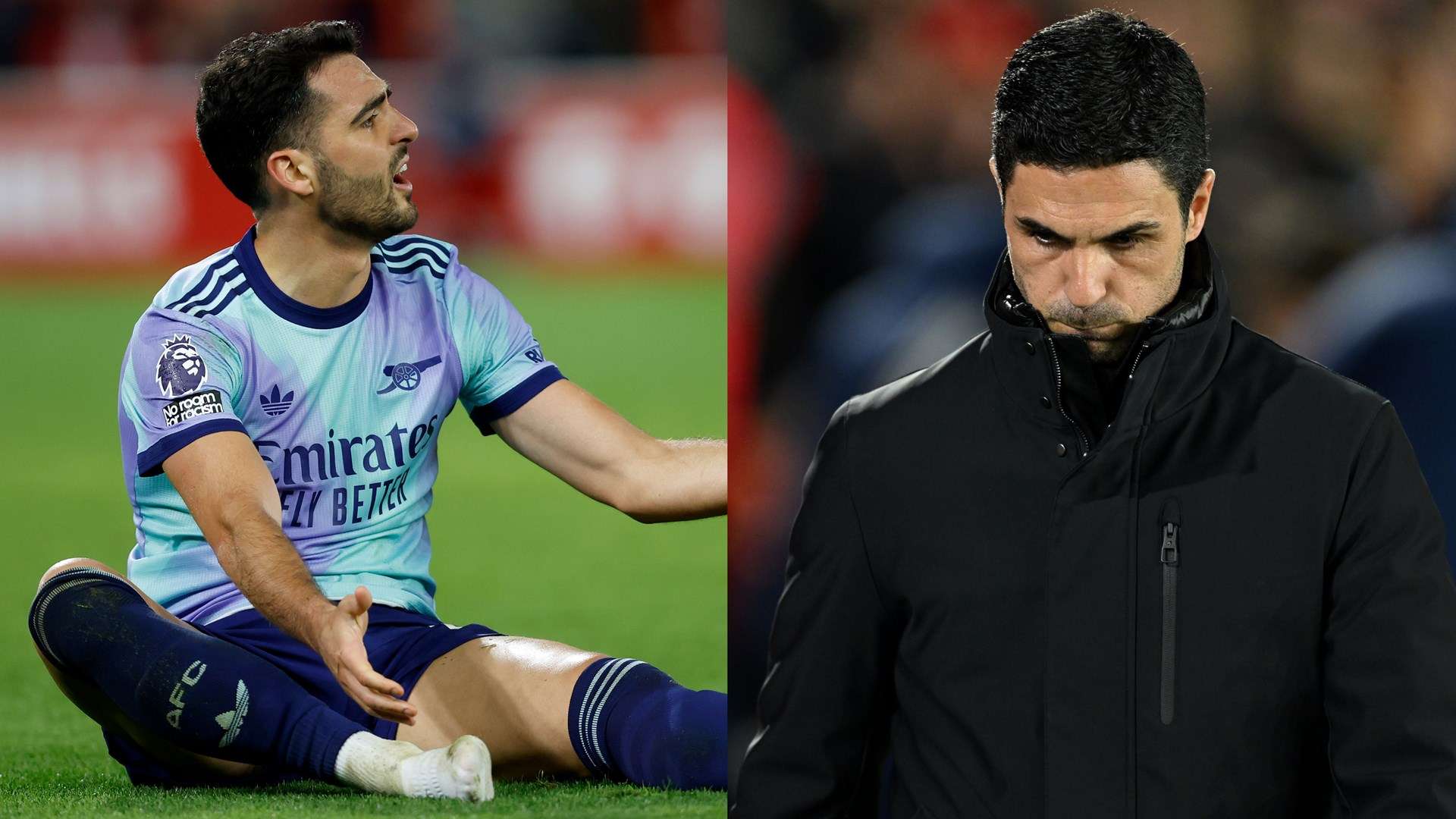 增添了丰富 增添了丰富