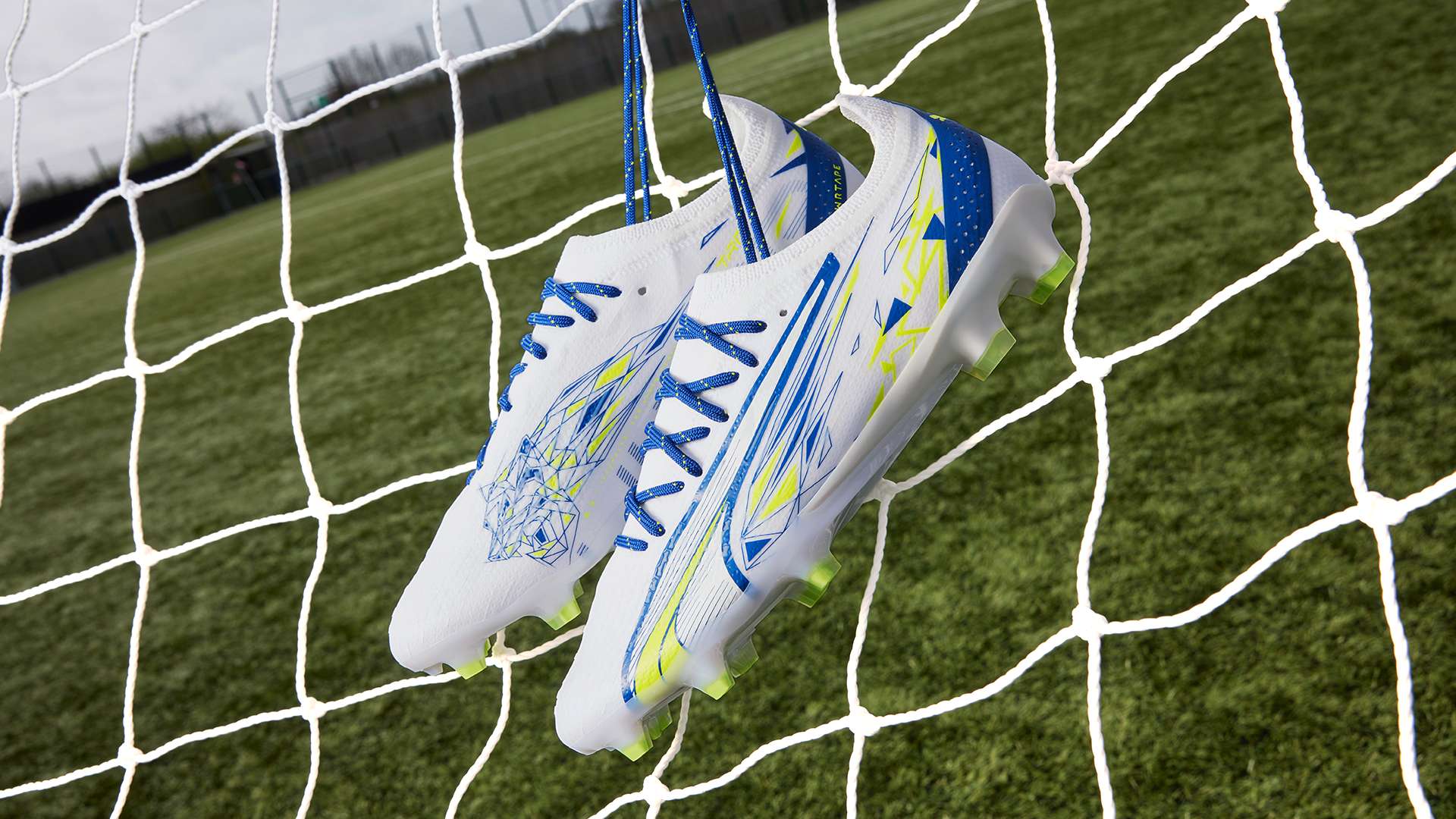 但它背后的 但它背后的