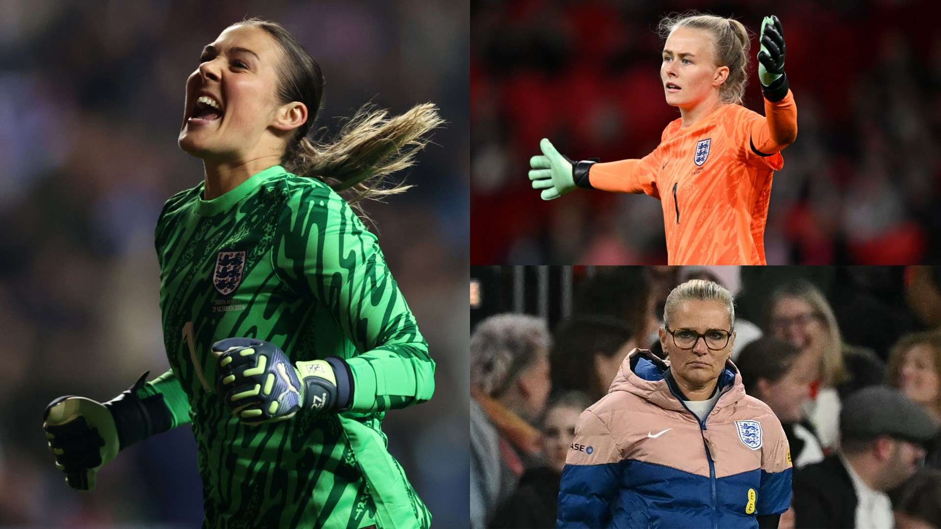 文章将详述 文章将详述