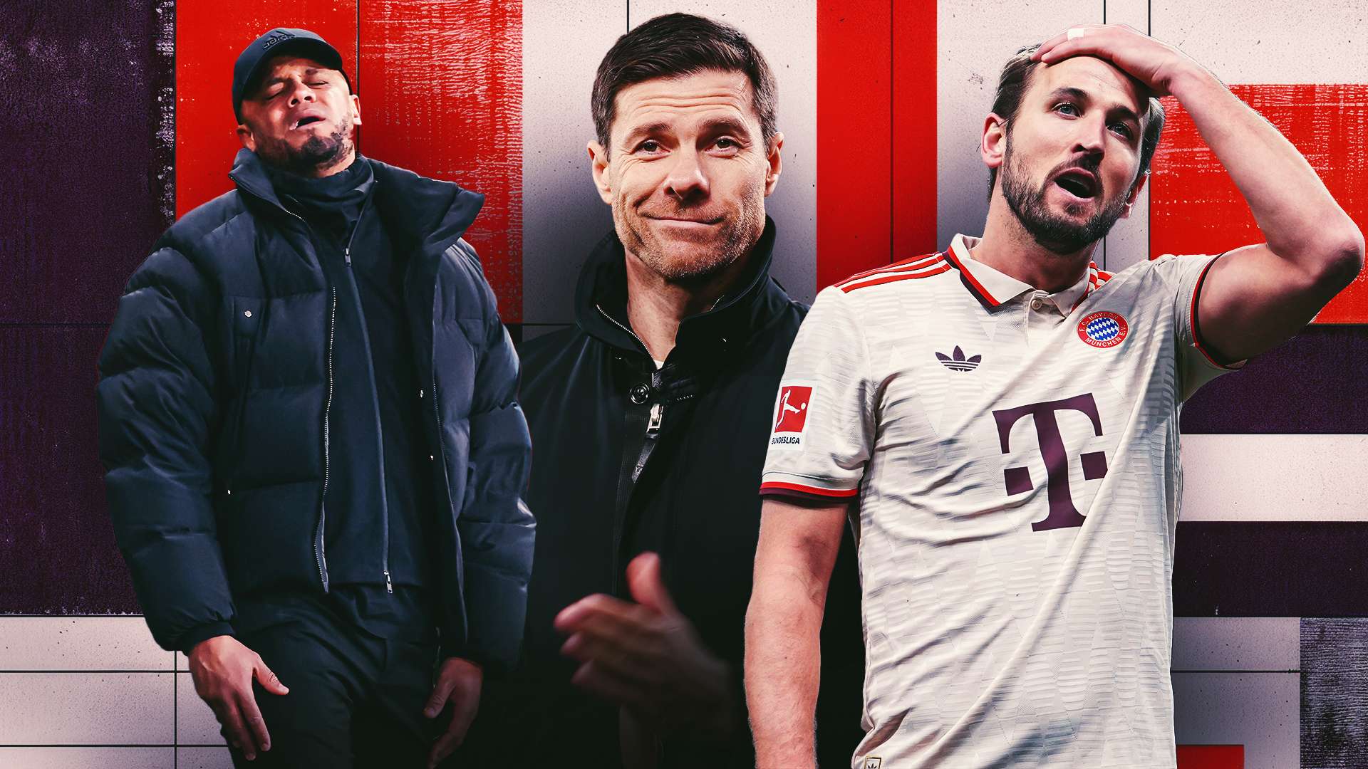 在近几年的 在近几年的